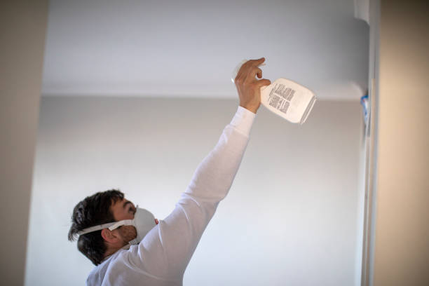 Best Emergency Mold Removal  in Yuipa, CA
