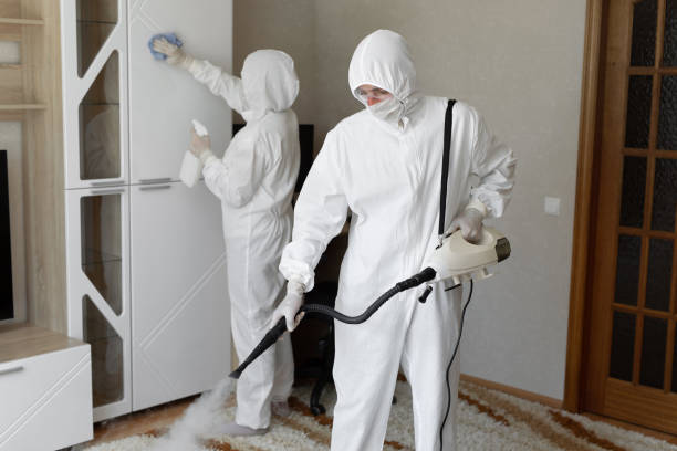 Certified Mold Removal in Yucaipa, CA