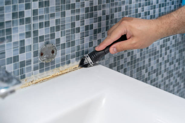 Best Same-Day Mold Removal  in Yuipa, CA