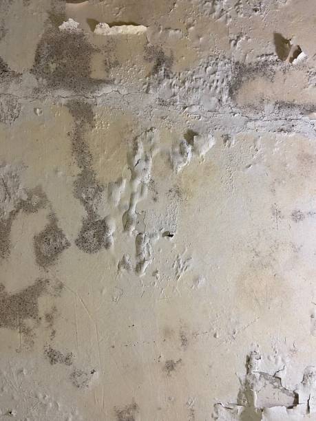 Water Damage Restoration in Yucaipa, CA