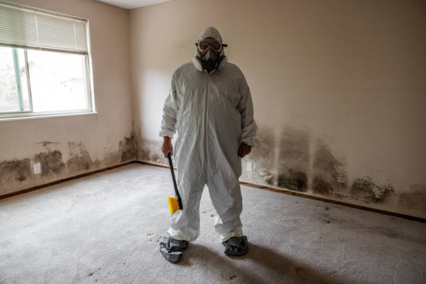 Best Mold Cleaning Services  in Yuipa, CA